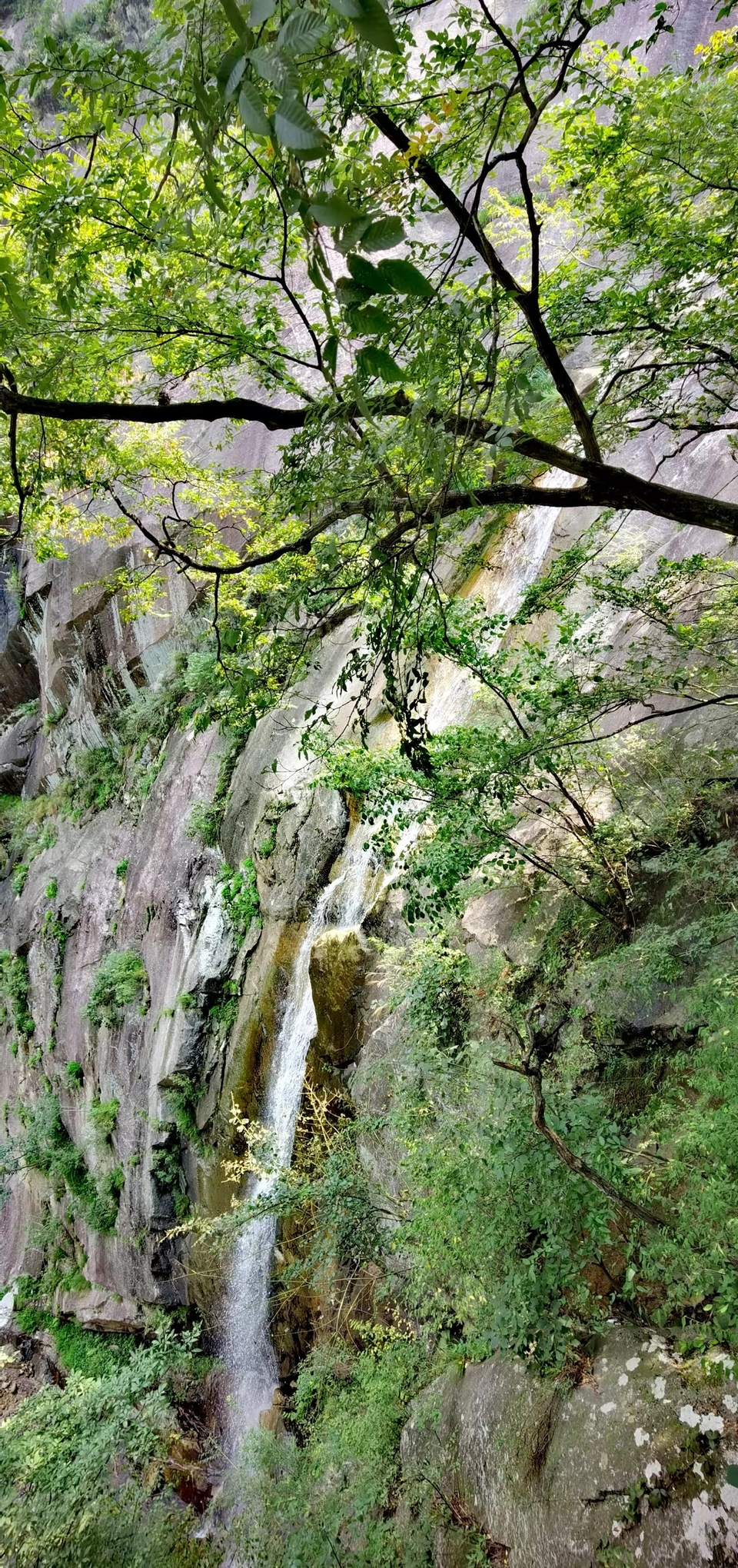 DyVp6aNriZ74a7srhauVK3JPxqaqi47bGjJv1KLTzU-OwkJp_Bv7x85fe3R8kPiL