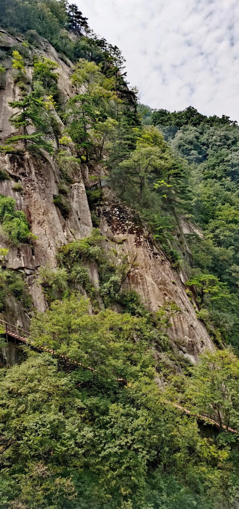 DyVp6aNriZ74a7srhauVKwmRDKwuoaXMffssME__AgjMLzOruD35QQtRmFf5EdAi