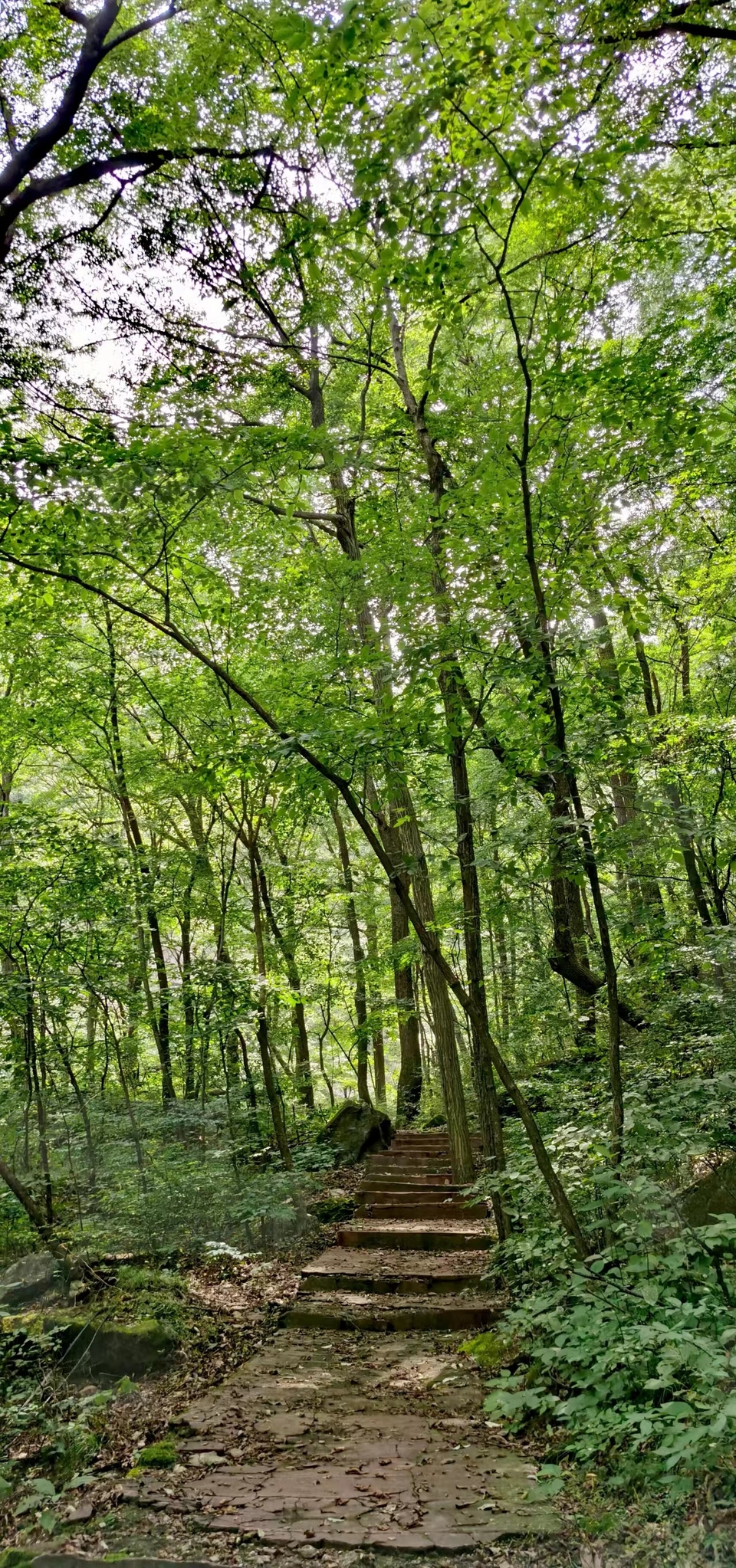 DyVp6aNriZ74a7srhauVK08qohwL57sVHwKRNQ7b4d4r4ZLyAzNfdixIABx5TwFE