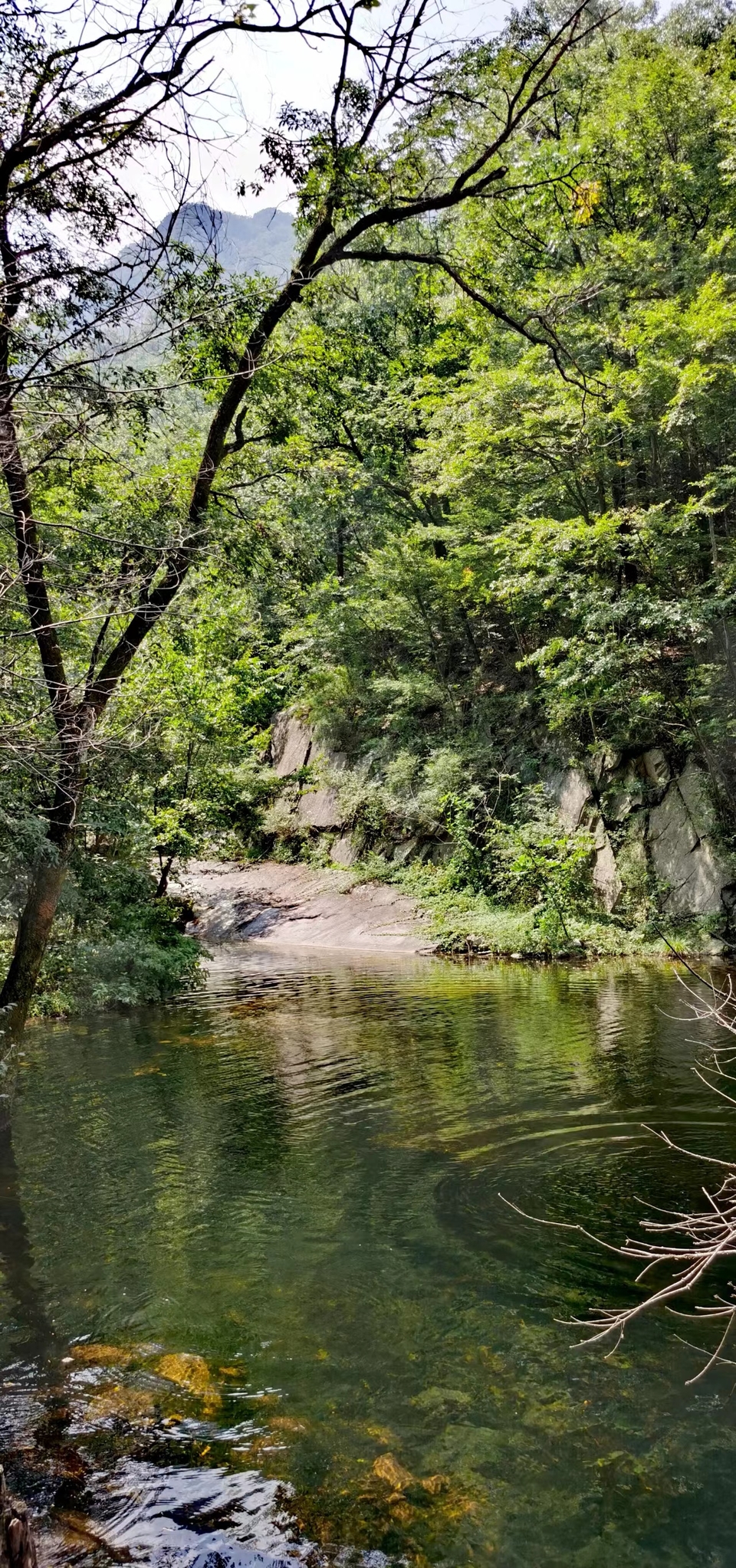 DyVp6aNriZ74a7srhauVK9_8XrYzJ_97jY6JXPZwfNHBgJTJ31_fpBeERa6khrJt