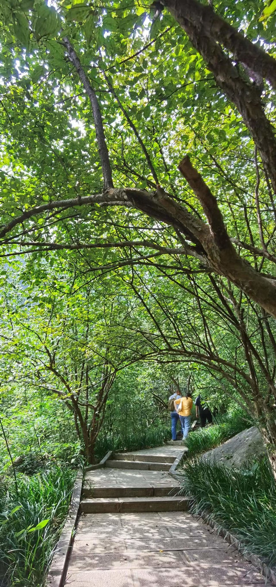 DyVp6aNriZ74a7srhauVK3lpypehPH22Gs-FLZeDQKWbNby7uVEr2_xnzW678GVK