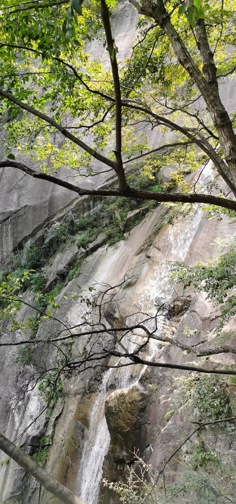 DyVp6aNriZ74a7srhauVK2kj4e5cBGyJtNmAbY62DV1xOK7hm7QCUTYlYeyzyko-