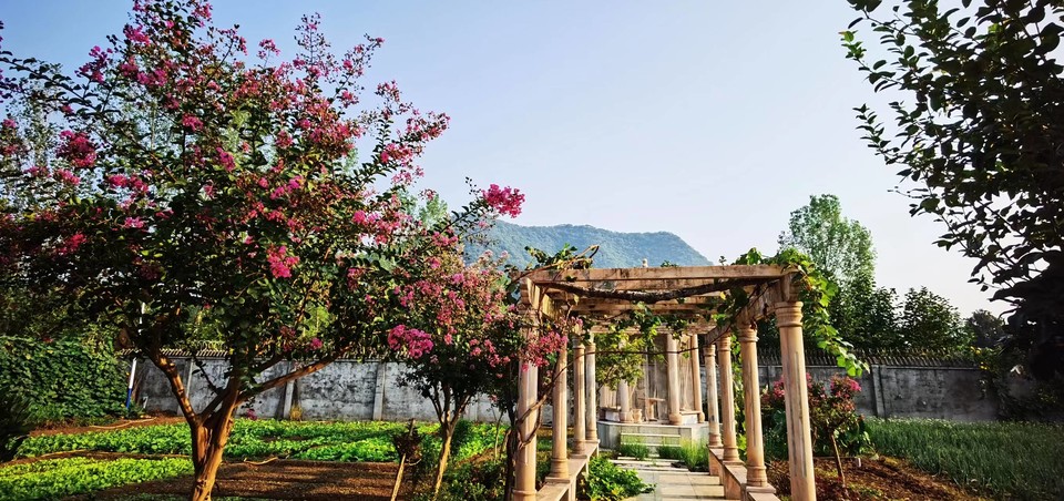 Tl6znP0seY4PHV8R_Ophc2XSroWWNXkPnlaeDqIAPVoo0csolHcrVNDcWSzvGqMS