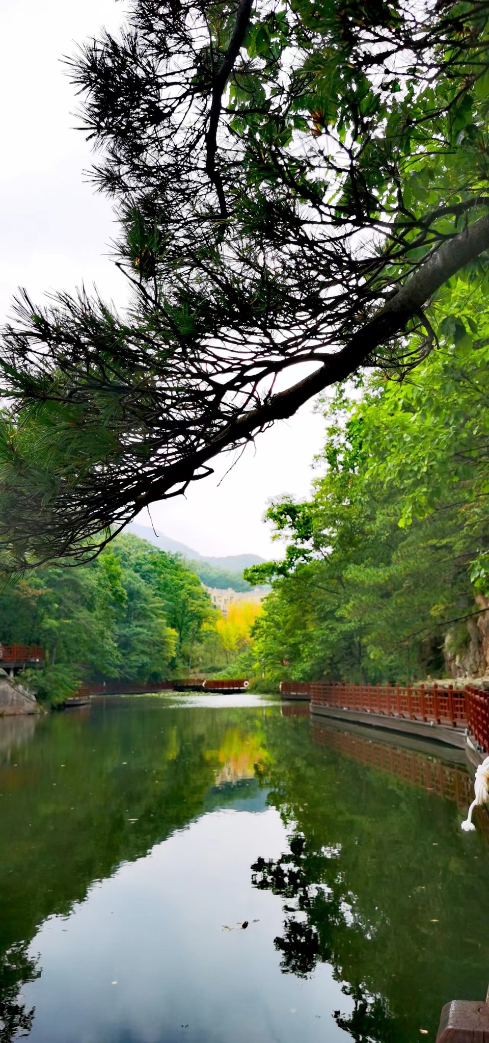 qe2wYel_F1CbE6oGOWWdAKVxwiaq6TTGnjQffqfkO1pqHwW_6921lXEZeHD6AL0X