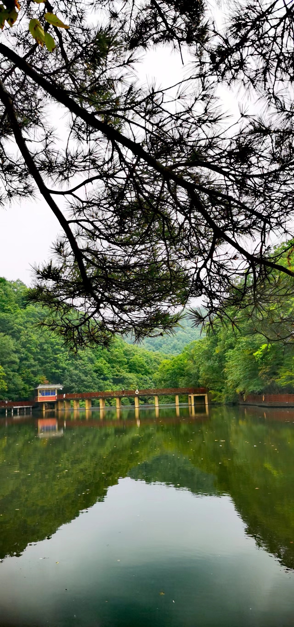 qe2wYel_F1CbE6oGOWWdAIs3UrZBC5FAvvdjmNW8hDcnkUFO7Jw1SGV4Y03kBULR