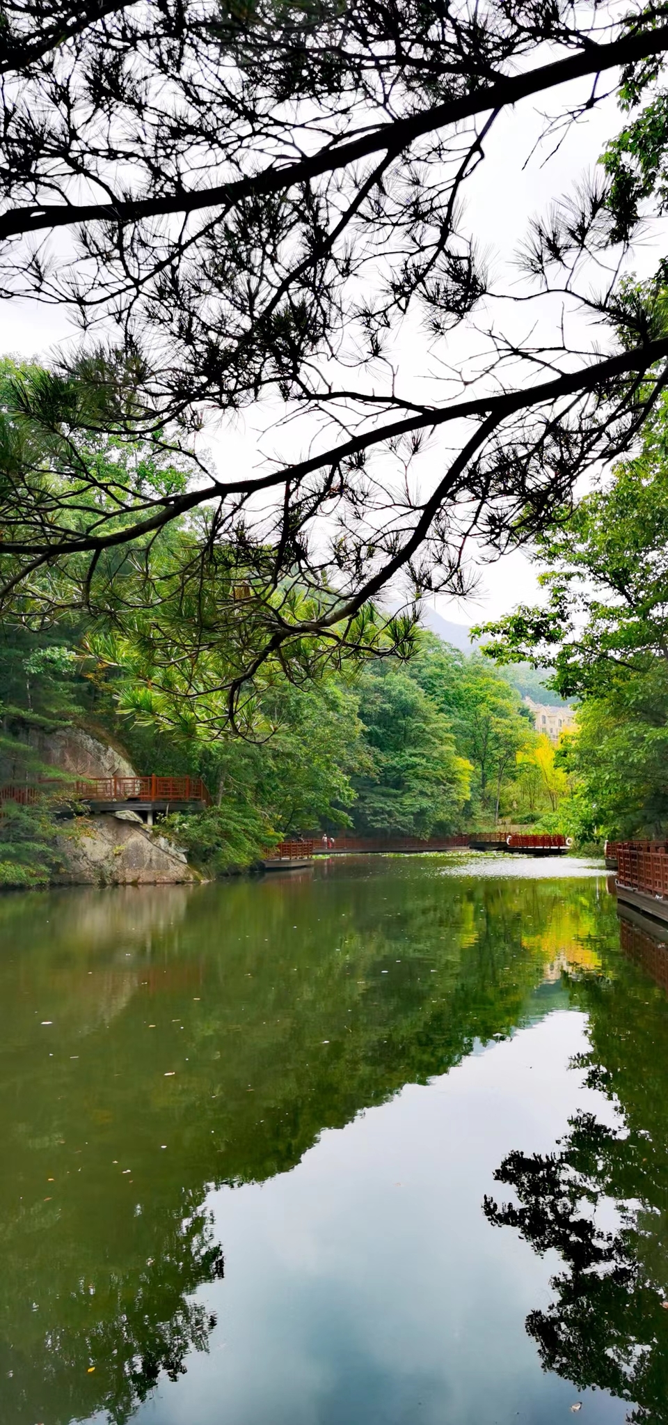 qe2wYel_F1CbE6oGOWWdANhVyPES_3zzyZGqdWI6M1YbtJBrFF1PU-wJ-ac4E6NM