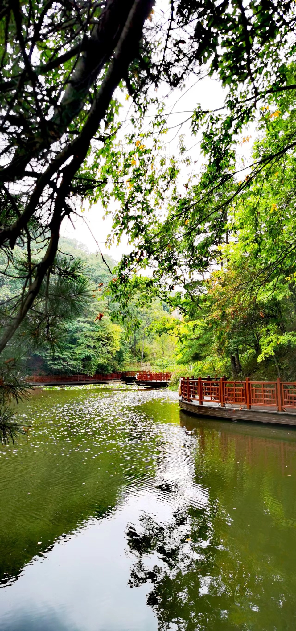 qe2wYel_F1CbE6oGOWWdAJ0tKe5zzsuPRBcN9gKrblZAeOXMXzLr5gACYNjKeUc4