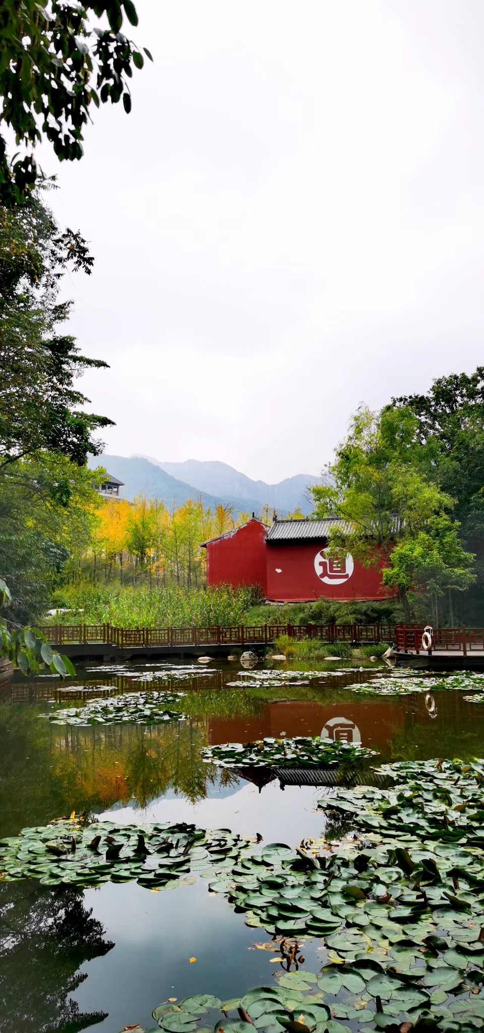 qe2wYel_F1CbE6oGOWWdACinyIRgbMaJsFZoRXlkjZlp8nZ6BXdtRJu83q9AxujH