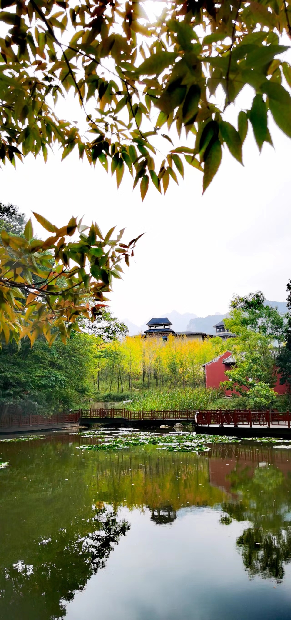 qe2wYel_F1CbE6oGOWWdADXKzM1q3gtwKcOU1XCPAfE9wwmsAWxkjSBOTNFqOsEo