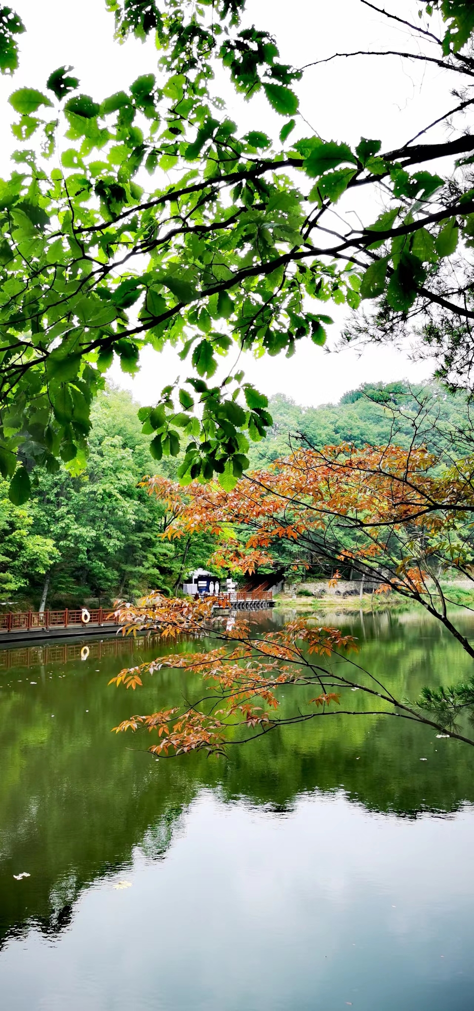 qe2wYel_F1CbE6oGOWWdAAp_ley5UHWU8zfTkkQQ7hQmEFPh79ezfbNZ_iT5R_iv