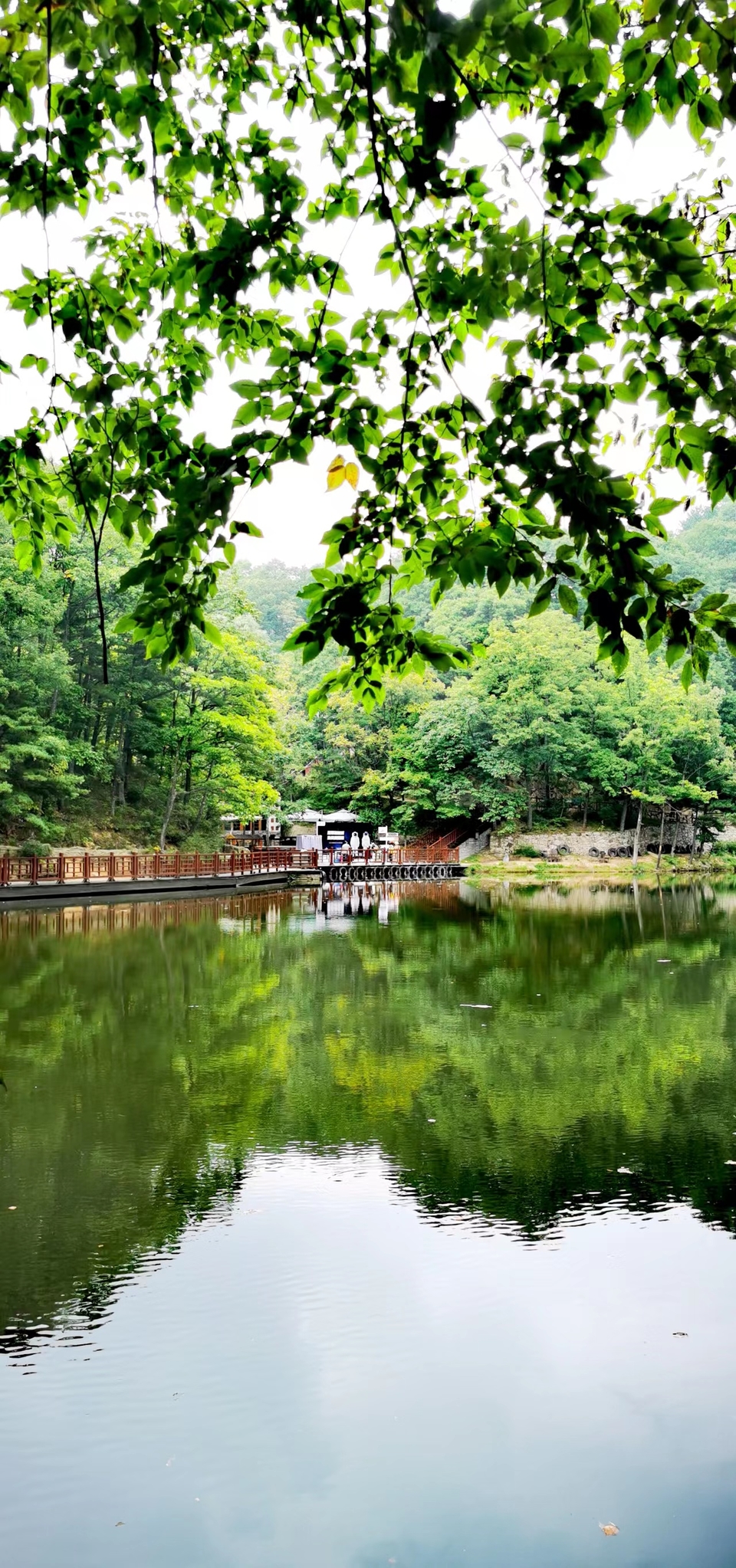 qe2wYel_F1CbE6oGOWWdANSvrKAGXWhieIZDsnjZsj2c-S4kA8bVdcV4xctbnhg1