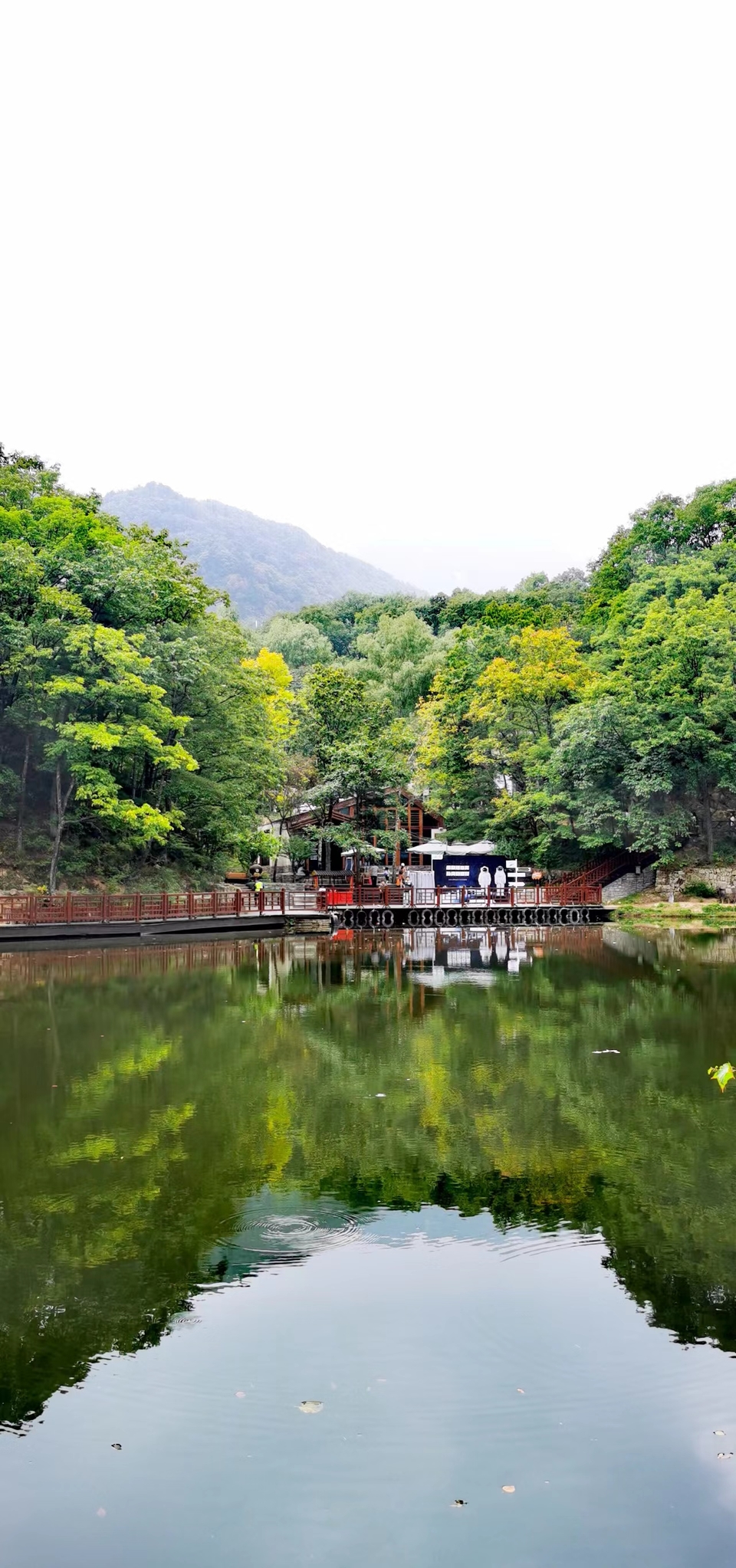 qe2wYel_F1CbE6oGOWWdANL8NM71f9U_OUAGlSqS5qRLHFBTf3dmafq2Zi55VK2p