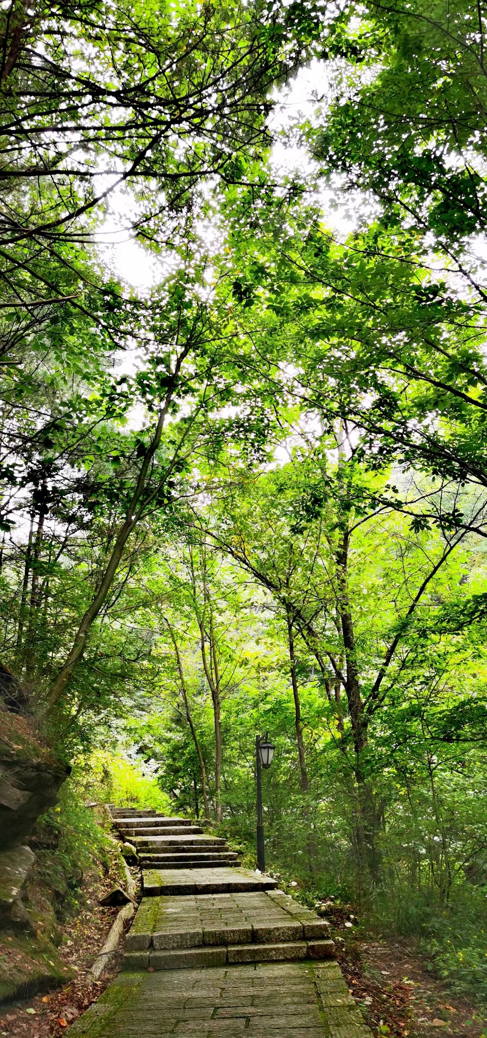 qe2wYel_F1CbE6oGOWWdAP83bDDzaFWnl6vE0XrNlHAoY9cLmMGW_oc2aVRCdkuF