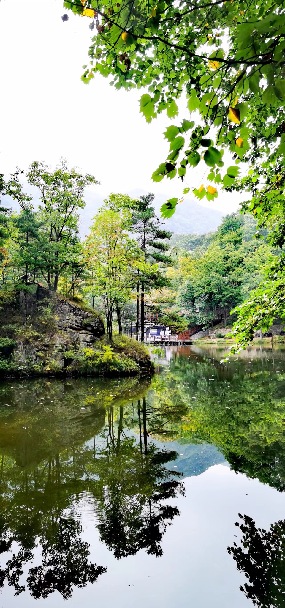 qe2wYel_F1CbE6oGOWWdAFGQP1L6aTt63g8zzha9__jJp8C_9NeqoaJZgkLTv5Ht