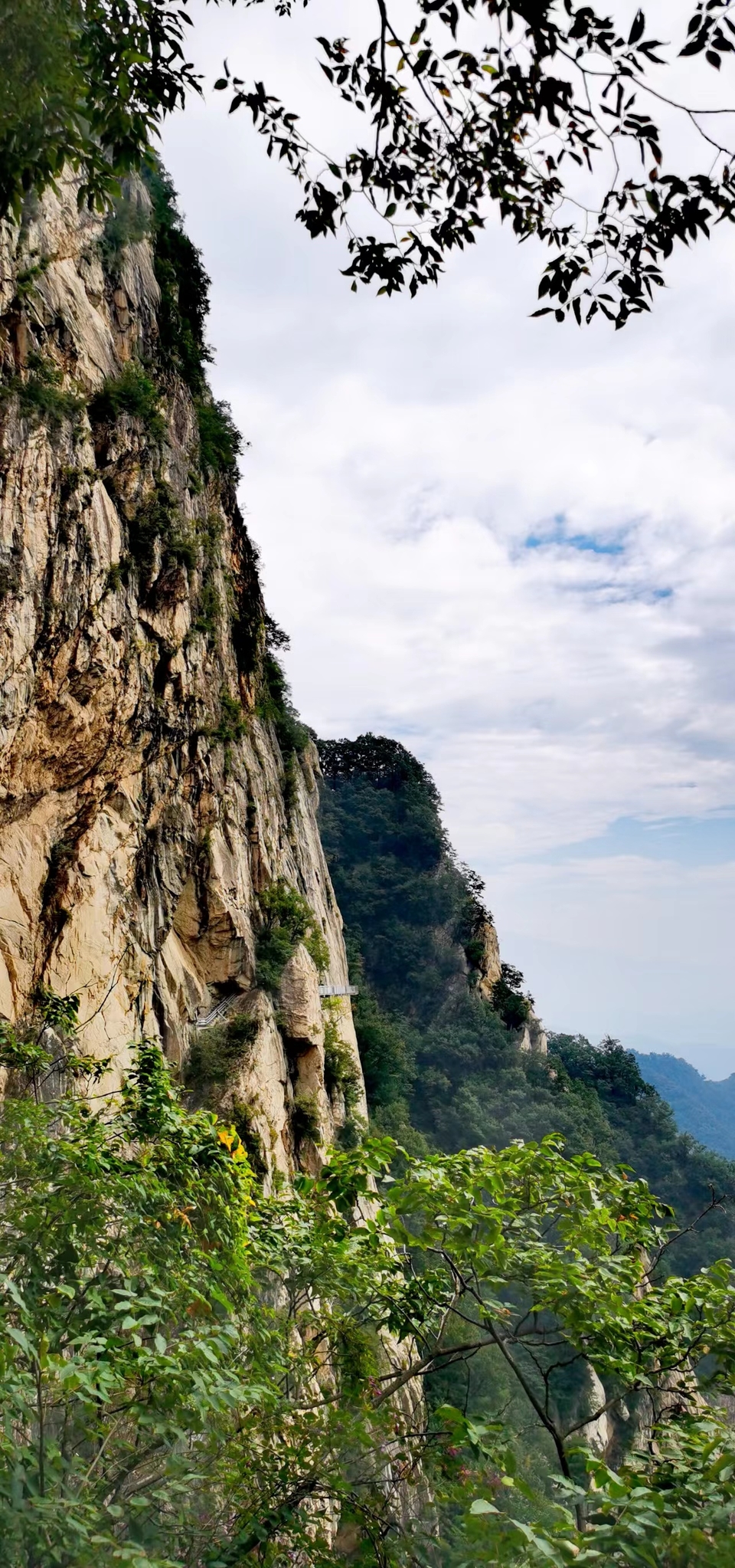 qe2wYel_F1CbE6oGOWWdAHb7XUaDqO49kXitWTOdKhiC80x98Hb9gcGWVtuFWBJP