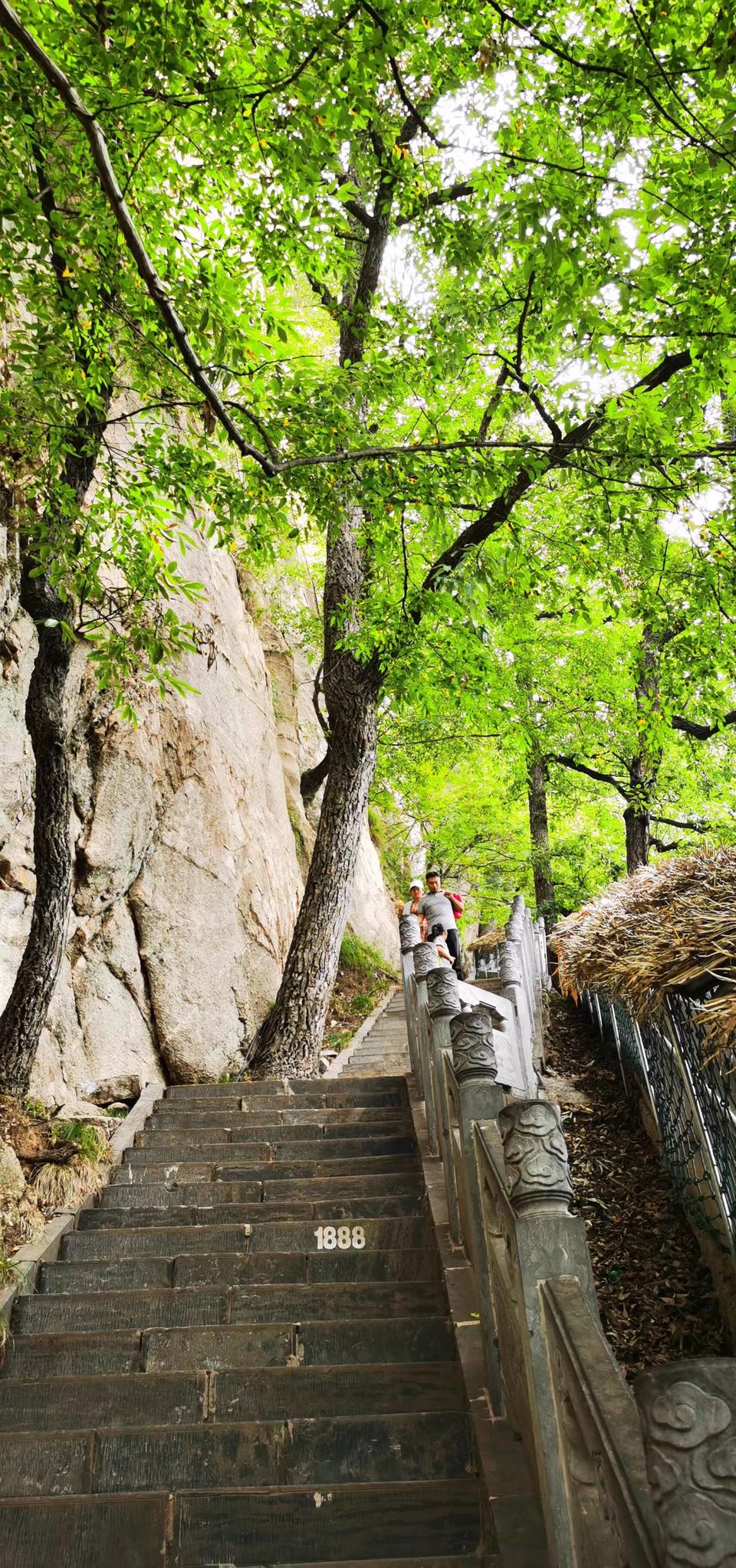 qe2wYel_F1CbE6oGOWWdAFxXB3ZldzzjvuchyVvbEXnVGYEvpgYZUwtstRMxuvcf