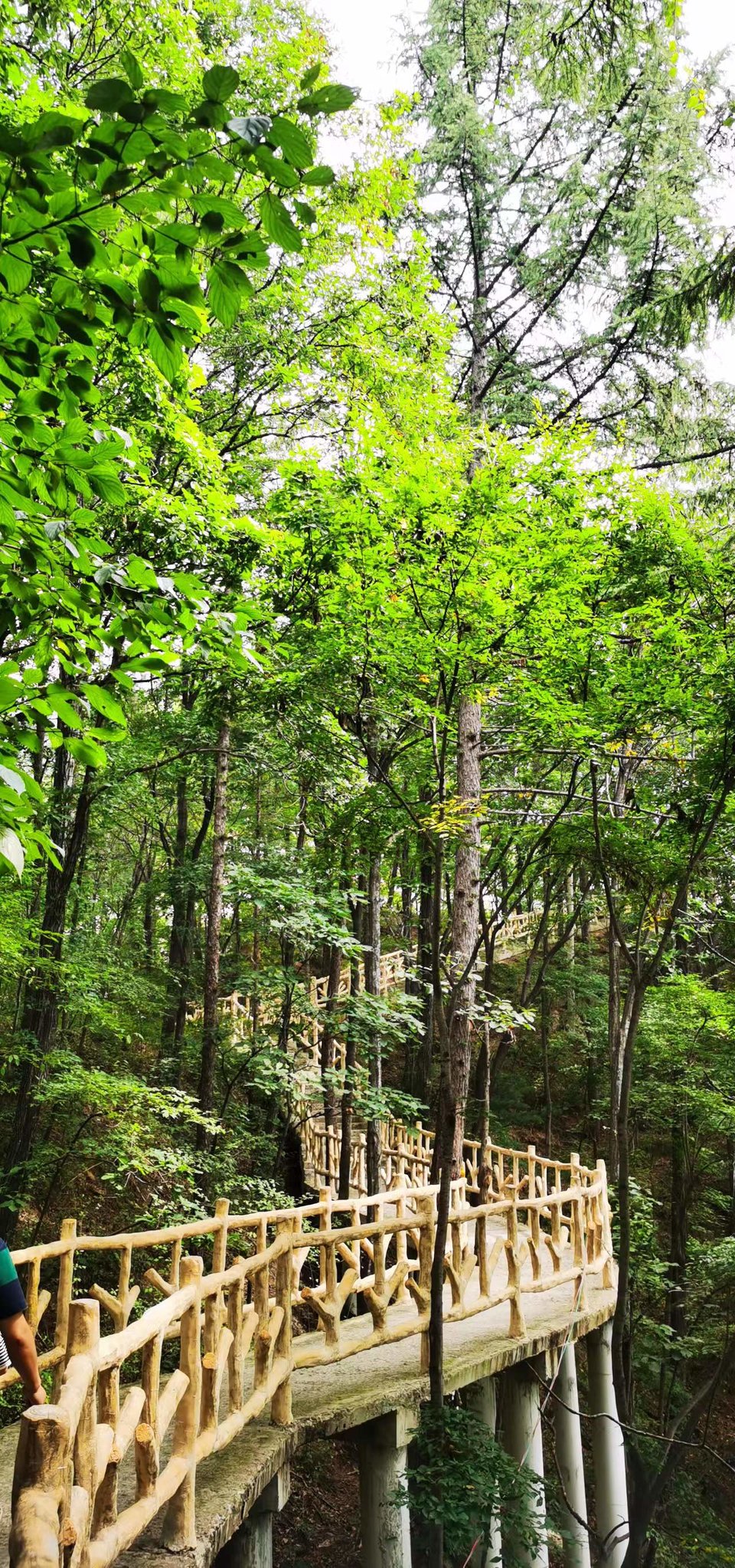 qe2wYel_F1CbE6oGOWWdAKe51KQfcvgZSUU1miigYl-B2bnWQPrMd5EuL8muiqTK