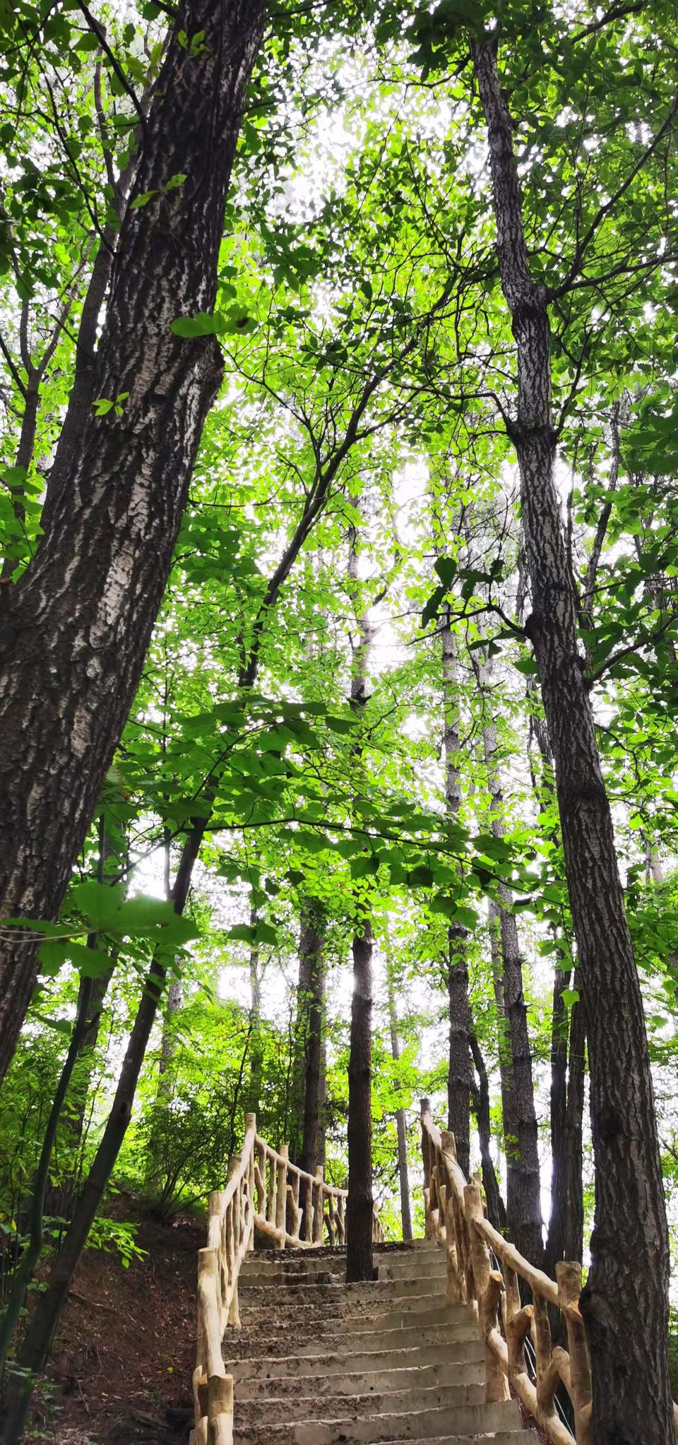 qe2wYel_F1CbE6oGOWWdAJUroNRPt-nZ3xxQLuczCt2UGg3CtSNv9CPY3qQZGMxF