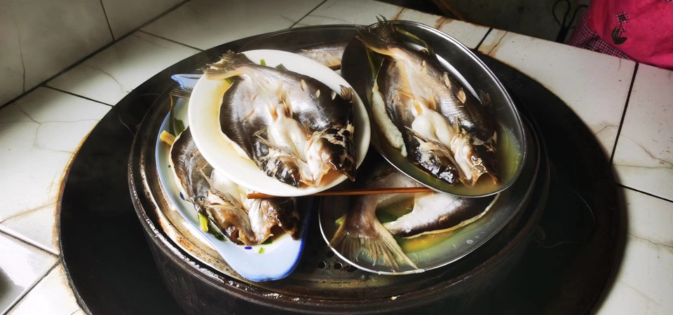 ws3DhnlE1851K1ibBuwc_bLRpbNISO5HSBIWyYK2OYl-gURyedCnMc_yLsqb1RpF