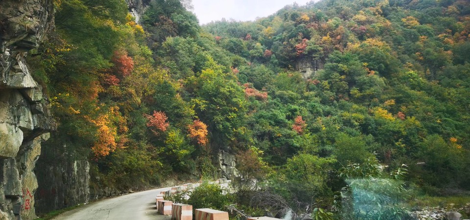 ws3DhnlE1851K1ibBuwc_Uff0bDHy3n_K2YIJXRIPAmiDlW0XlJp6aX8pjoyN32c