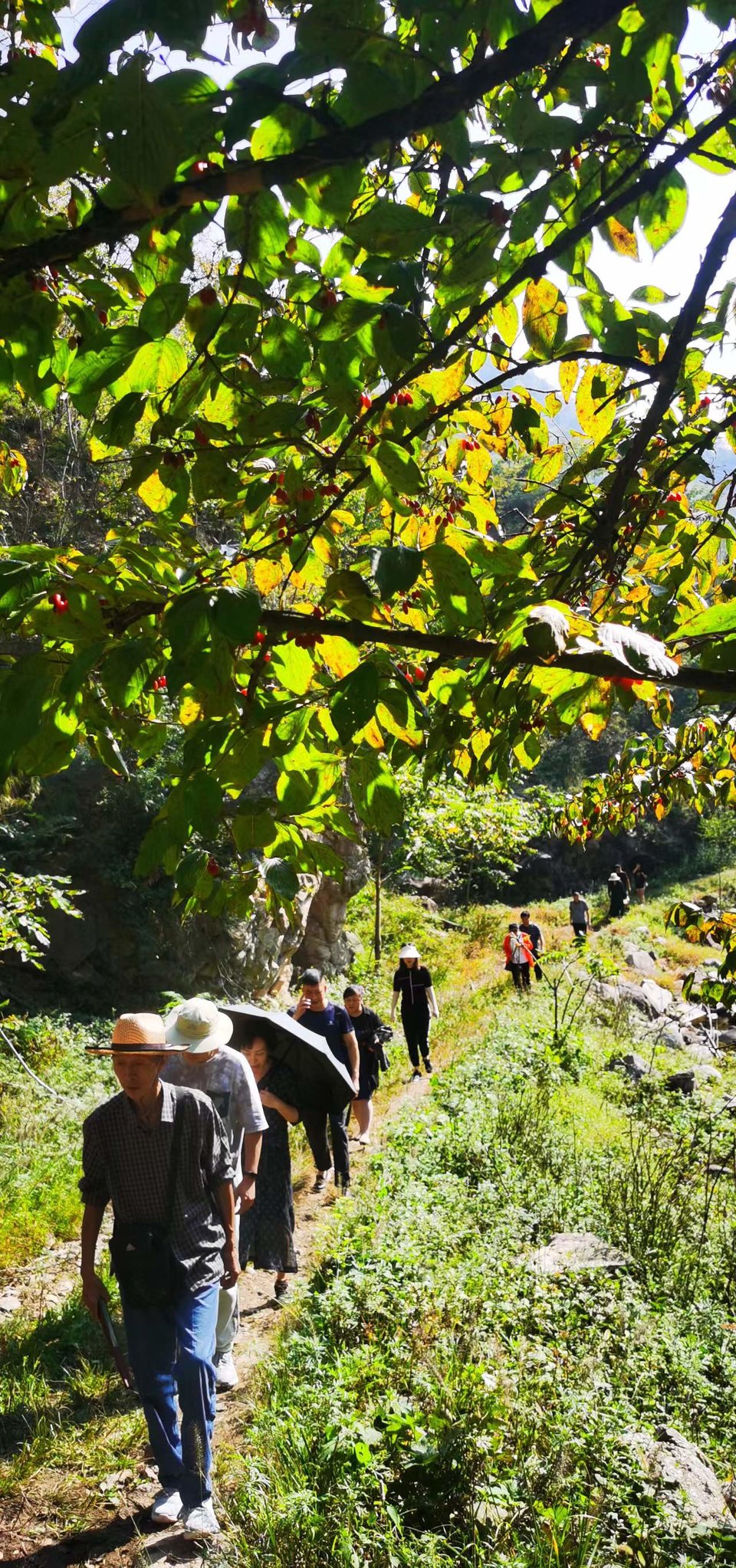 ws3DhnlE1851K1ibBuwc_T4TvAhlWDm046z8h9RqPy0F_OJSZv3lKGReA5r1fXaz