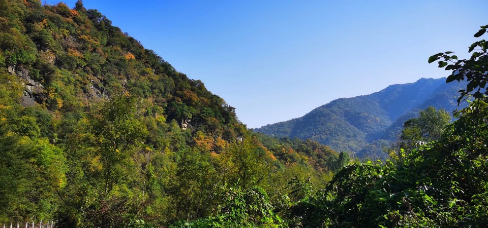 ws3DhnlE1851K1ibBuwc_TnannmyQN8P_skBkqRBEkX_o8doLTozuJ0Co9aSmDzS