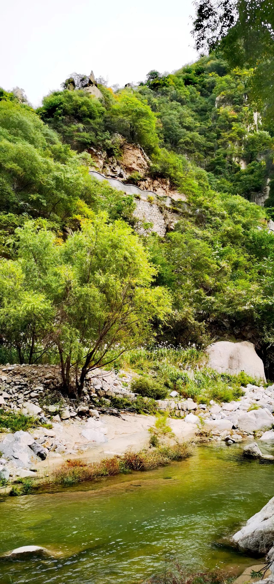 _Uf8tOXUs0lrHRAFyDsmWYKCK8uIpK63fwRXJUrUx3tLAL12kRbp4IUc0BN8yI8F