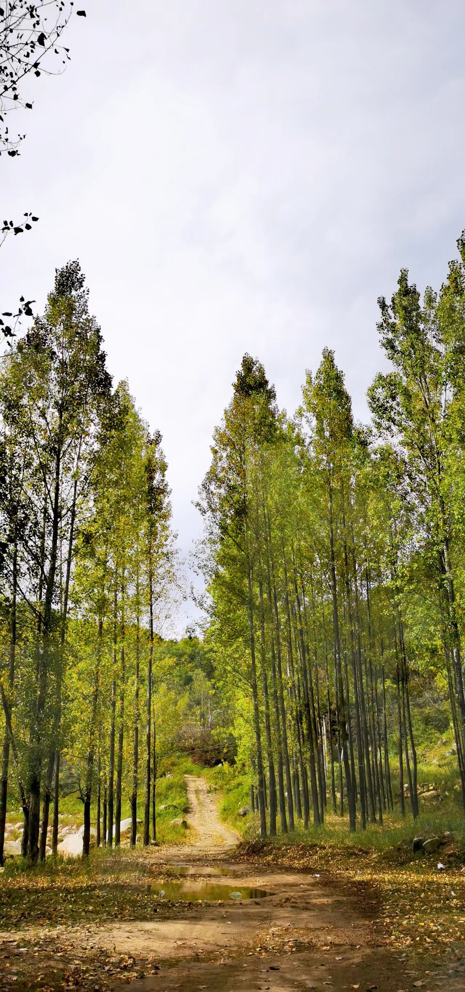 _Uf8tOXUs0lrHRAFyDsmWYvZhEWf902FB3RImawqU0yxV1qqpWhoyLv4R4x1vbZ1