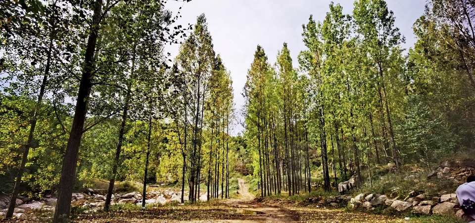 _Uf8tOXUs0lrHRAFyDsmWYMr85JRgGIwNnfBfkgaBcyAFNcdtn25Rnqk_bclcXix