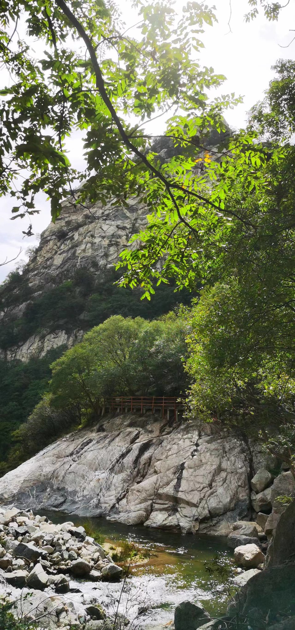 _Uf8tOXUs0lrHRAFyDsmWcoCK9fYLEZUWrfw8HZvpi6q5kOwgjfNgEZI7J3vkveQ