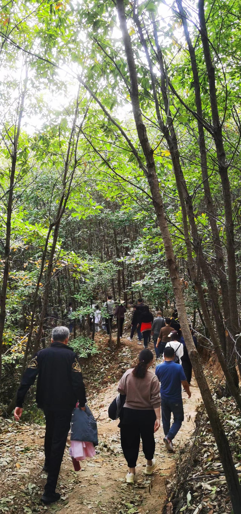 xHDQYi7s-VuRlVwnDqVleiBgyX1bJ7TVWHxl7HbopjdTWJ4FrwLxbWF_XWu0D7qV