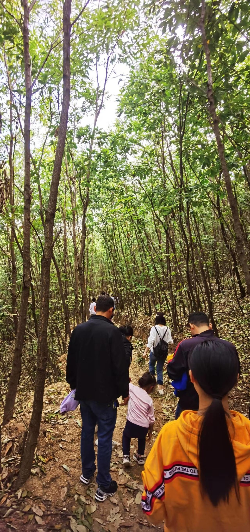 xHDQYi7s-VuRlVwnDqVleoZ-Lafs3vYAKQ1vBxC0tnfWlvCxp_4xHrxx8dj9rhk6