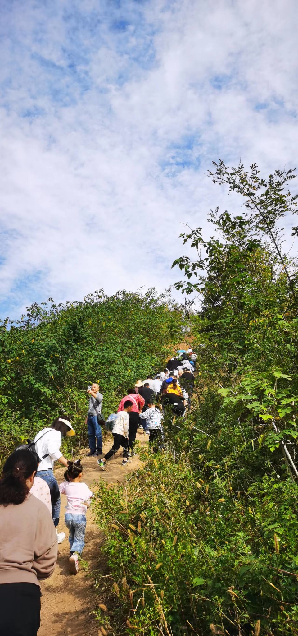 xHDQYi7s-VuRlVwnDqVlevmp3YjH_ONpASOVgzmcZj_GoYygJ1yySvUT47JeeGZW