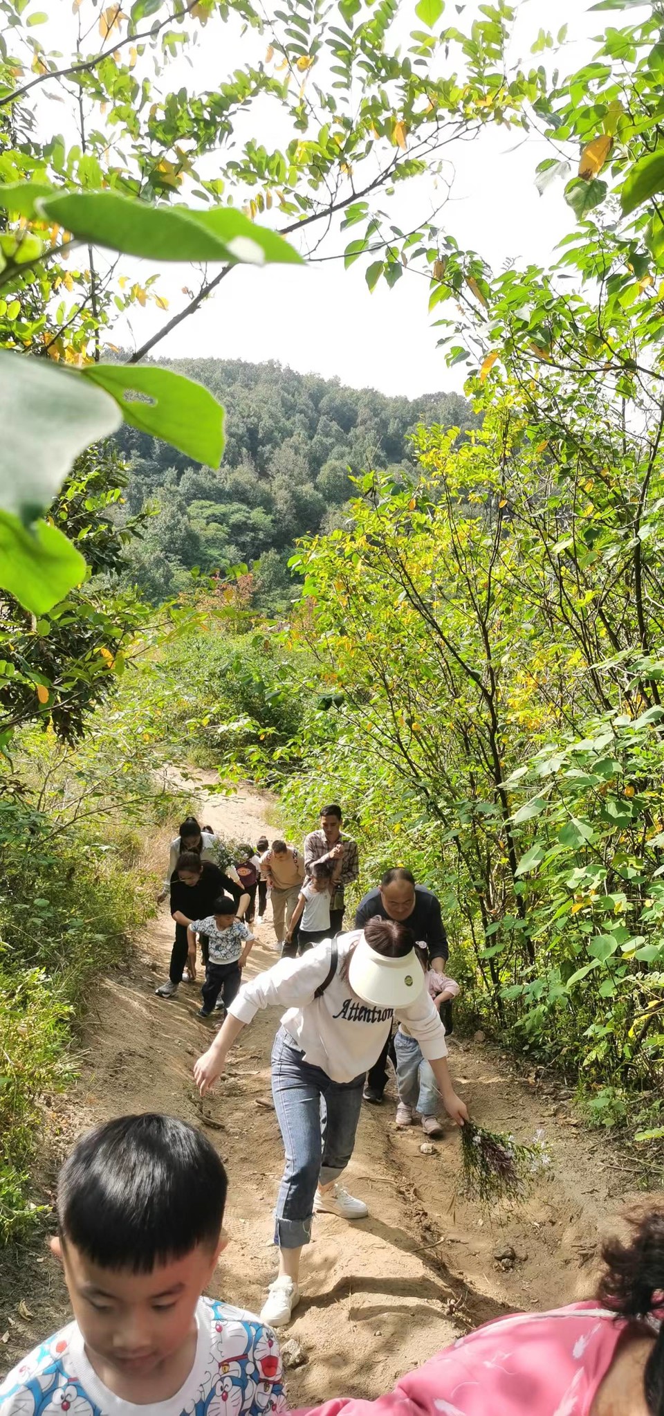 xHDQYi7s-VuRlVwnDqVlesRA4g0VtuucqjYB8TMGAxcIvcWxOv-TS0qEwU7v5RsC