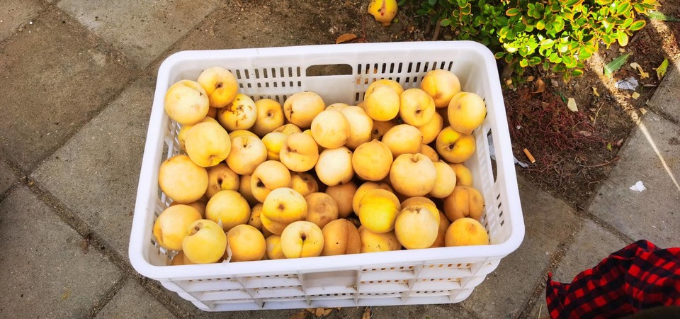 XnUPhphZeJhl68pIKh2JuBuLGYn_dYfelqVLd4mh4hM-duXN-5WdjDgPjnoyHfRl