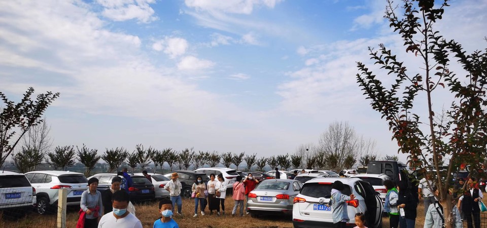 XnUPhphZeJhl68pIKh2JuJRJTlStthEg558d0npvrnz3qS9SflVw_T_7QAUmFcux