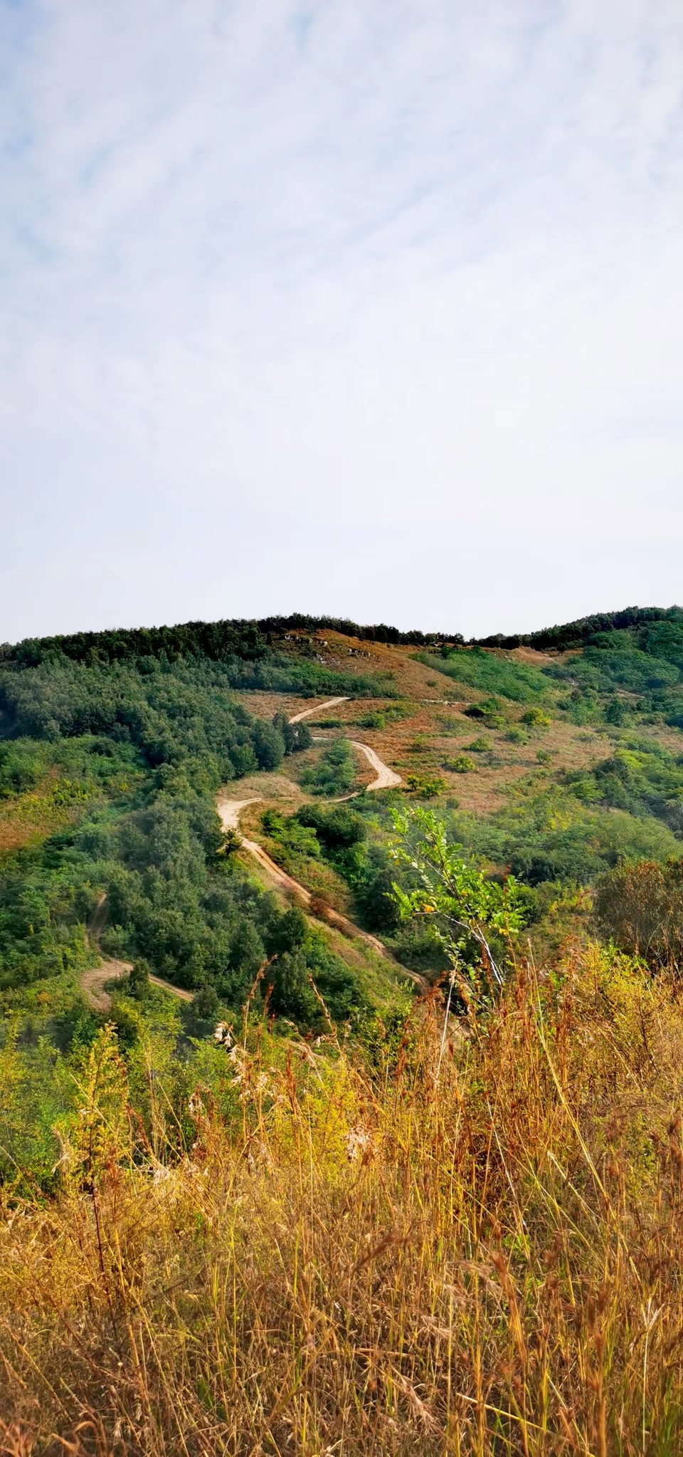 XnUPhphZeJhl68pIKh2JuPE2BoRIAmZGYePYJd_Qy7eD0v1EUeYFBXZSZLUZzrOF