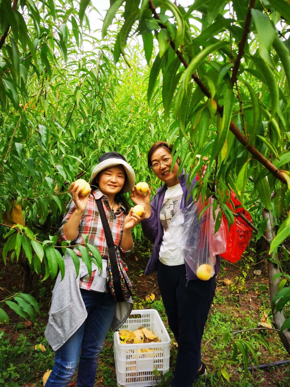 XnUPhphZeJhl68pIKh2JuH2vV1ew4WJSS7fvIfSHjtgHm5Pm0zB4dbO6AsiJI68q