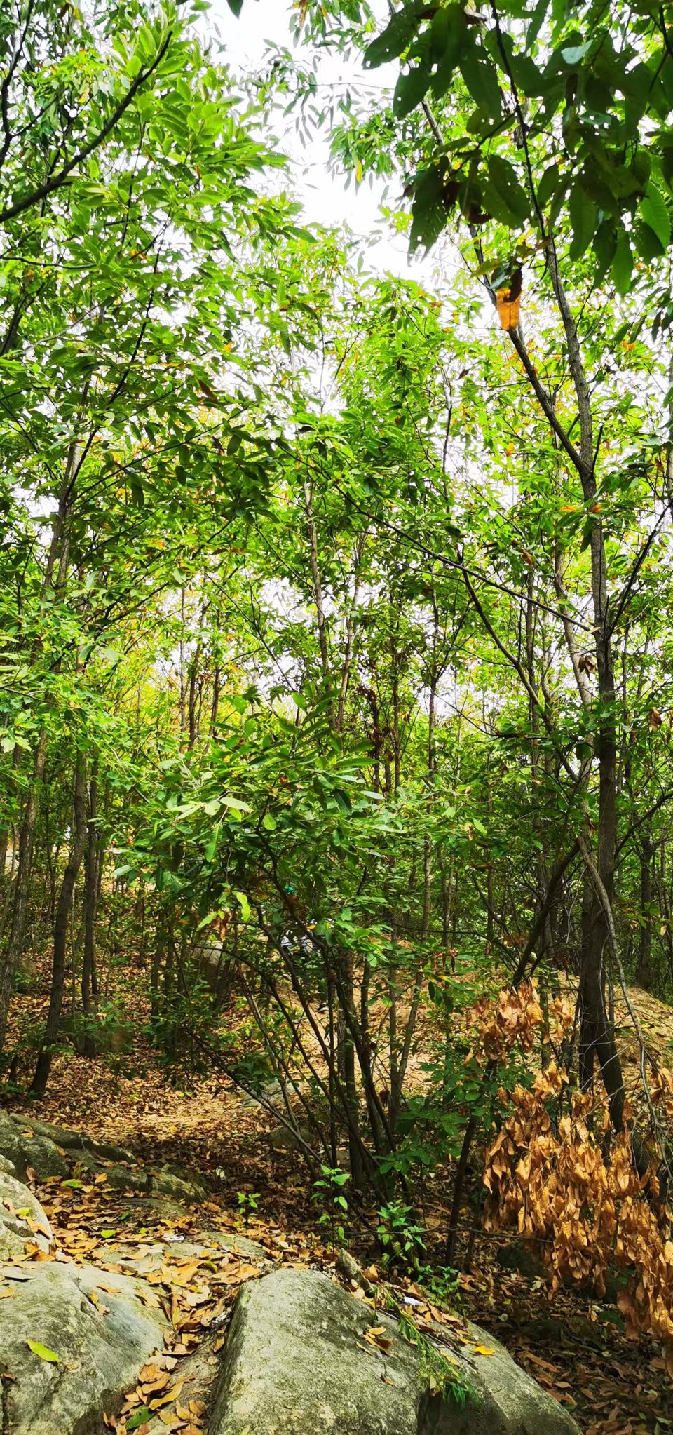 XnUPhphZeJhl68pIKh2JuI4lgaa_r5e5dEhF-uOQv8tuadt-QWEC698Epf-25AAN