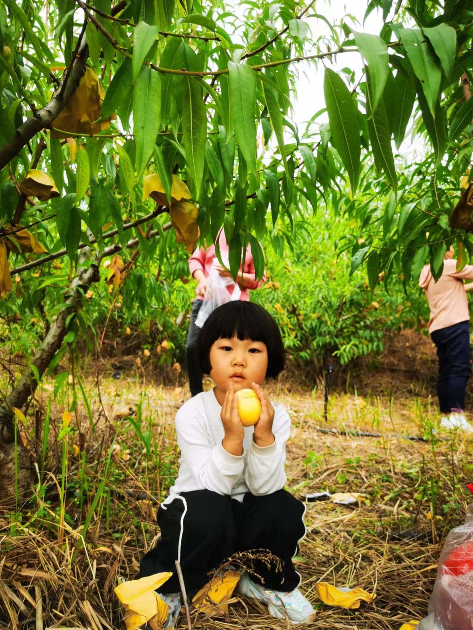 XnUPhphZeJhl68pIKh2JuMfunjgjFxINwJviT5glXxg39Ogpr1Z53OvF0nvSOU56