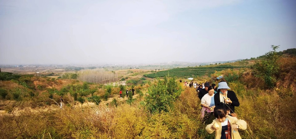 XnUPhphZeJhl68pIKh2JuAVPryi6UeyZ2NcIgVlysDQeS_jxVDpYqOxHODofO06A