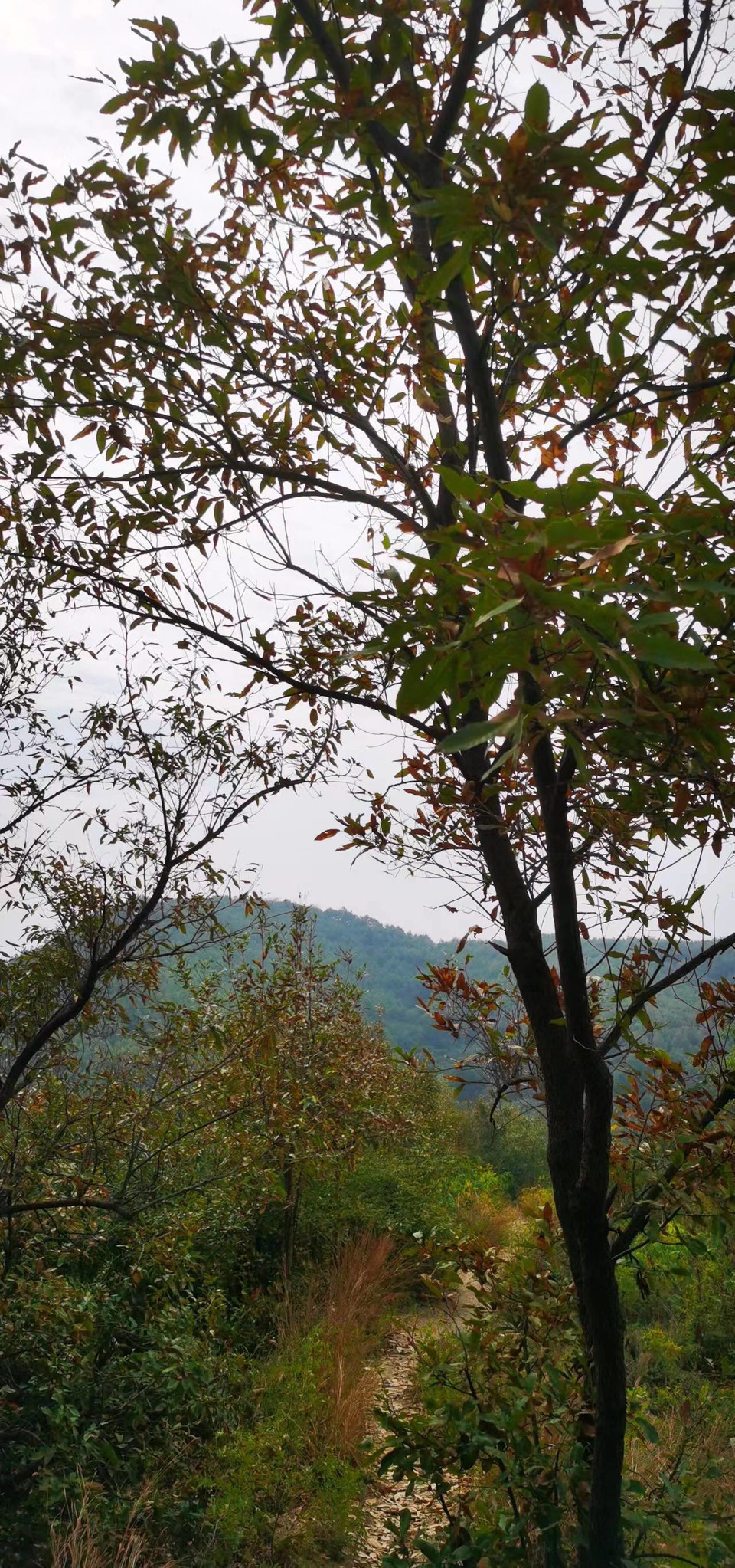 XnUPhphZeJhl68pIKh2JuG3uh-dWBzYVoBZ5yvEQ4JP1EscuxRIcBiDqap888F4F