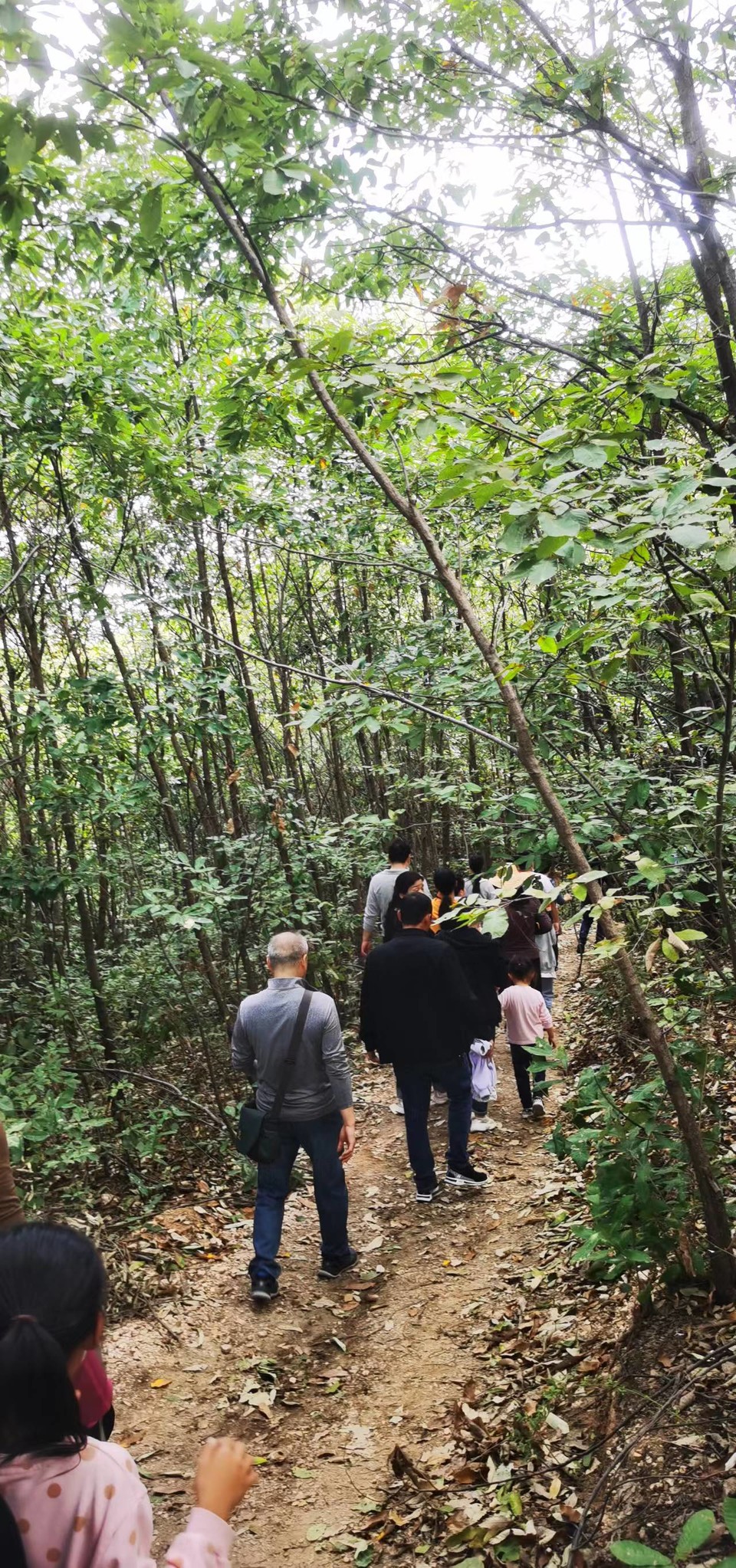 XnUPhphZeJhl68pIKh2JuP64kyicykvLvgPJP1ILhXGKvHumnqZ45jGtsBr1xEMA