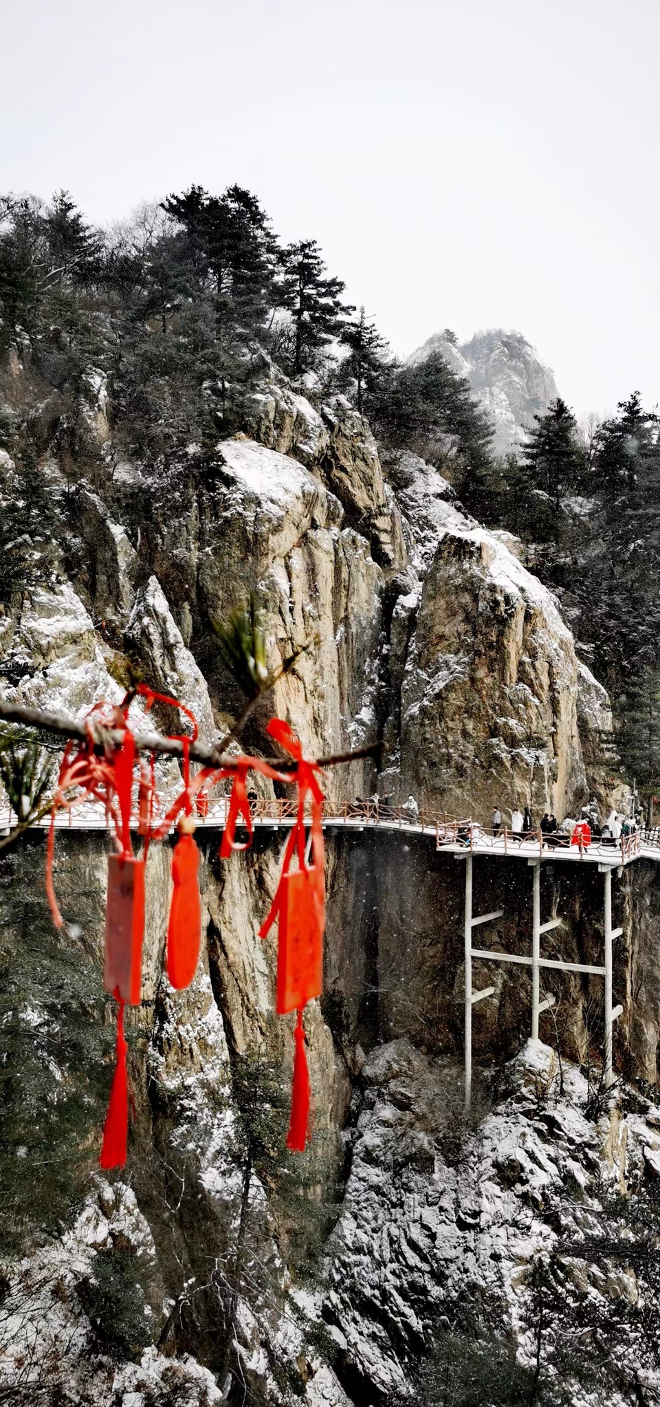 kwhjRWBav27yO6pkFgTeGzvr_3CL0567V2SDYOaXoWlyhEKLR2thDTTvKN7cM1za