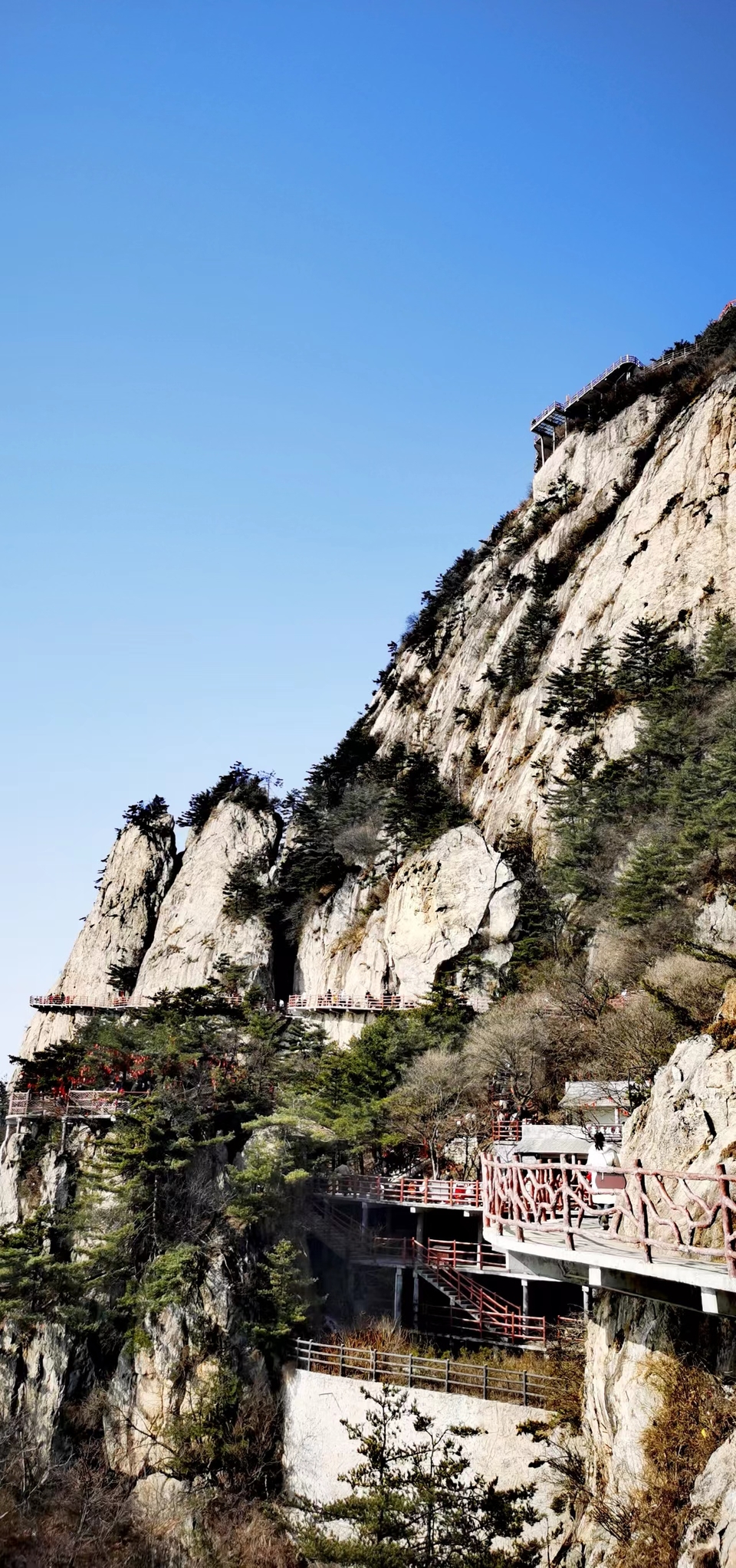 Lqt7cwNckFA-B4ZPU1upx62Eeh8oDrvtPdZwwv7ytuNBjwfx8COkVZwC1G6F4Wp0