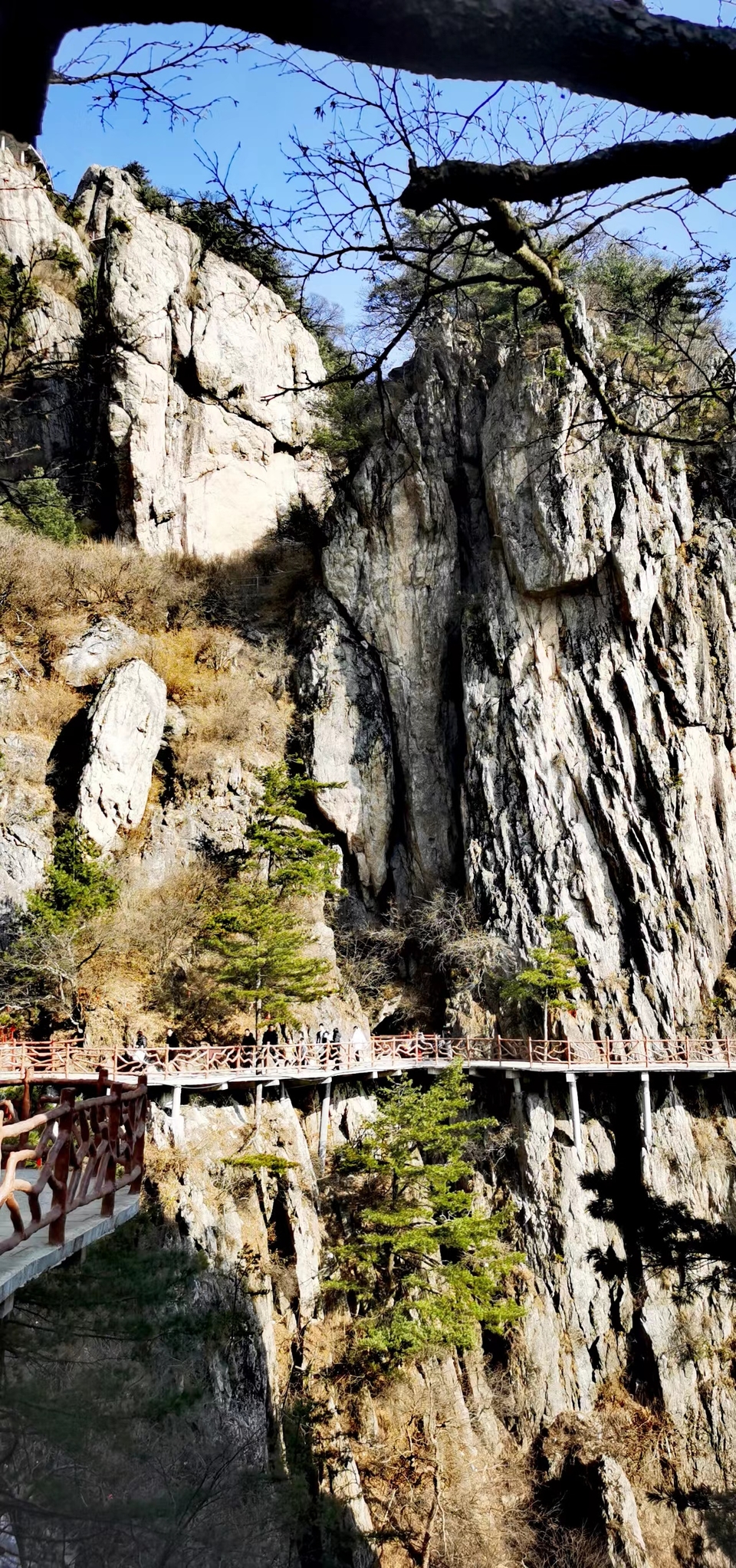 Lqt7cwNckFA-B4ZPU1upx9zqnKcbyyeU_zSAY--evl3ZgYBbZ5koAF26r3J7TblM