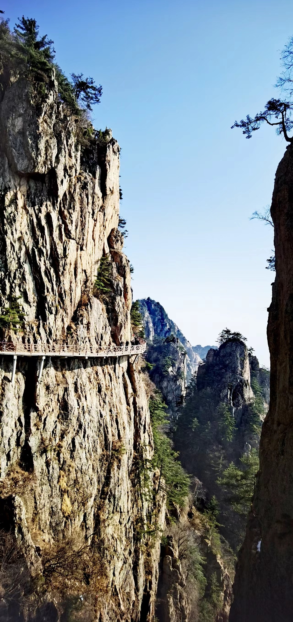 Lqt7cwNckFA-B4ZPU1upx1ZprmKWkN5JgzQFWMUe0Mr-wAsVEb8dggBLial8Ee8j