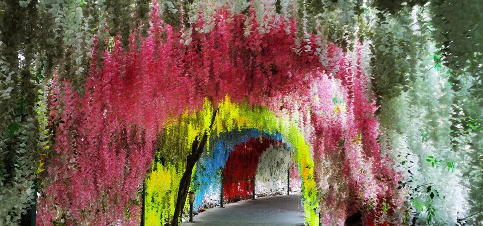 Lqt7cwNckFA-B4ZPU1upx8thfM5_F6R8W9PLQ9hsW5ks8GAkV01Us3jwGEerJb8s