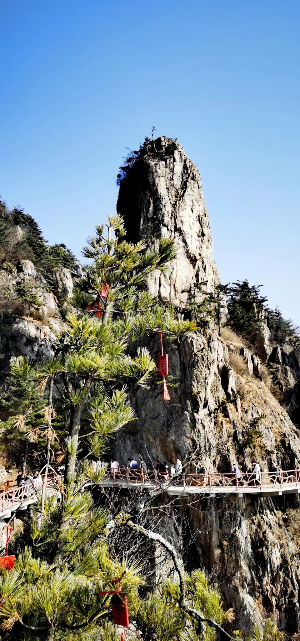 Lqt7cwNckFA-B4ZPU1upxxfCb46wx0hT5T4SsoDtxBFZdycyKpdegQMfPwonF3uz