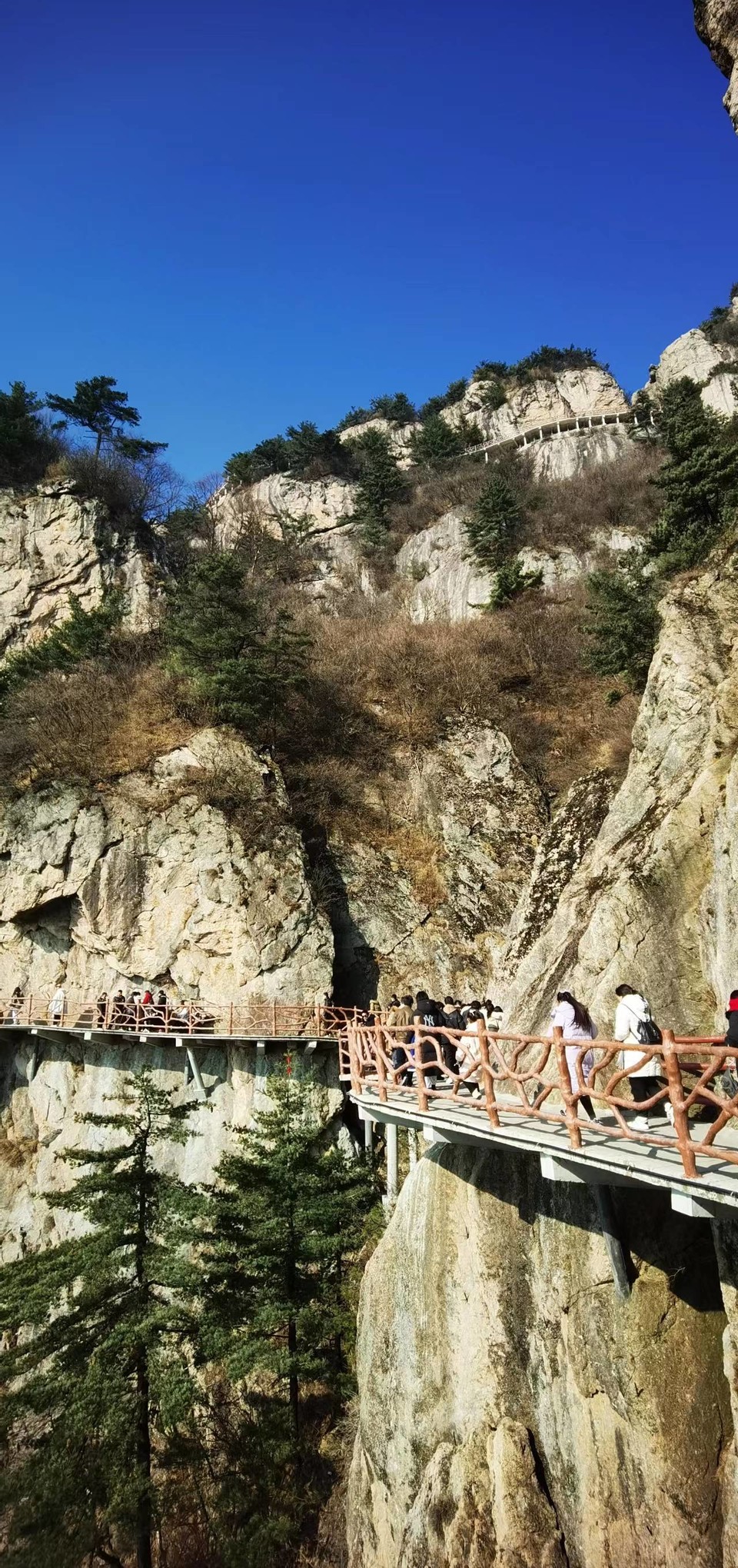 Lqt7cwNckFA-B4ZPU1upxzQi-MWj8Ie_bm4-e8ww3z-wLCVaVhz65MbT8t42O4Q2